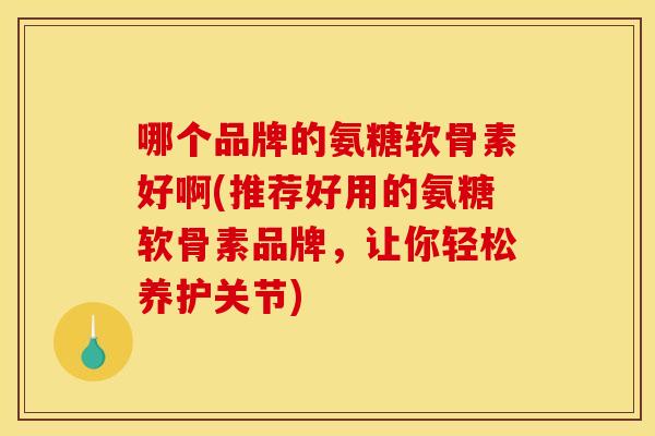 哪个品牌的氨糖软骨素好啊(推荐好用的氨糖软骨素品牌，让你轻松养护关节)