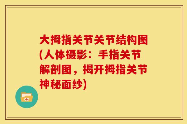 大拇指关节关节结构图(人体摄影：手指关节解剖图，揭开拇指关节神秘面纱)