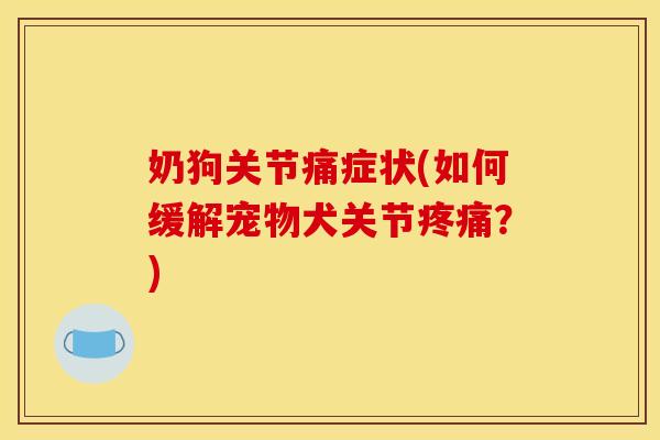 奶狗关节痛症状(如何缓解宠物犬关节疼痛？)