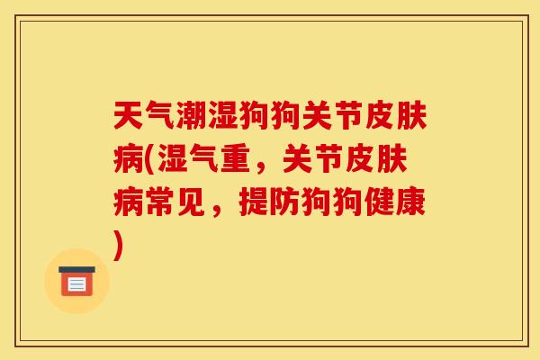 天气潮湿狗狗关节皮肤病(湿气重，关节皮肤病常见，提防狗狗健康)