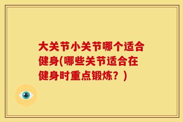 大关节小关节哪个适合健身(哪些关节适合在健身时重点锻炼?)-第1张图片-关节骑士 大关节小关节哪个适合健身(哪些关节适合在健身时重点锻炼?)-第1张图片-关节骑士