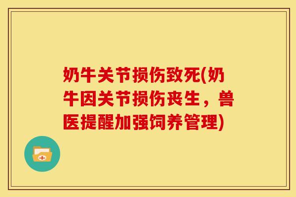 奶牛关节损伤致死(奶牛因关节损伤丧生，兽医提醒加强饲养管理)