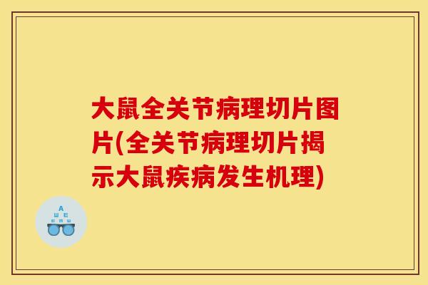 大鼠全关节病理切片图片(全关节病理切片揭示大鼠疾病发生机理)
