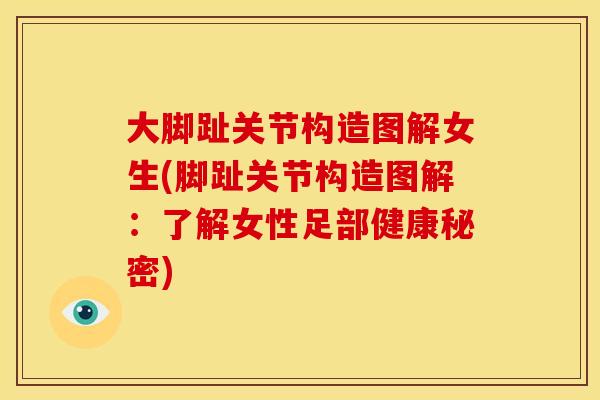 大脚趾关节构造图解女生(脚趾关节构造图解：了解女性足部健康秘密)