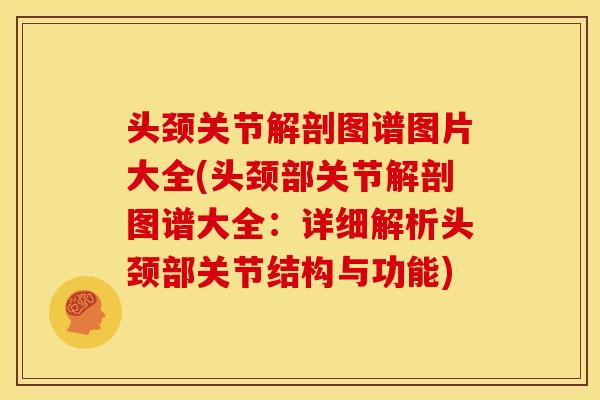 头颈关节解剖图谱图片大全(头颈部关节解剖图谱大全:详细解析头颈部关节结构与功能)-第1张图片-关节骑士 头颈关节解剖图谱图片大全(头颈部关节解剖图谱大全:详细解析头颈部关节结构与功能)-第1张图片-关节骑士