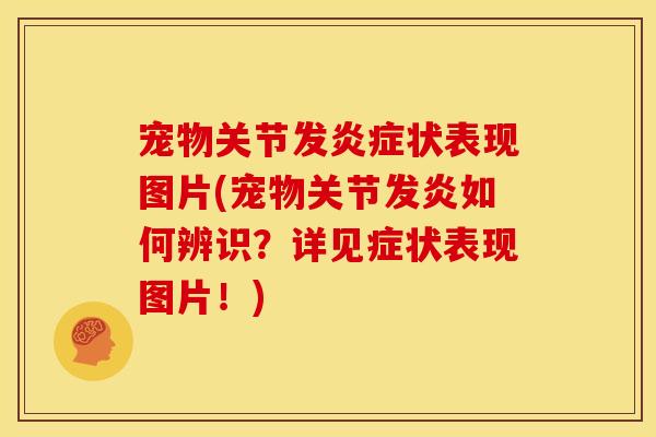 宠物关节发炎症状表现图片(宠物关节发炎如何辨识？详见症状表现图片！)