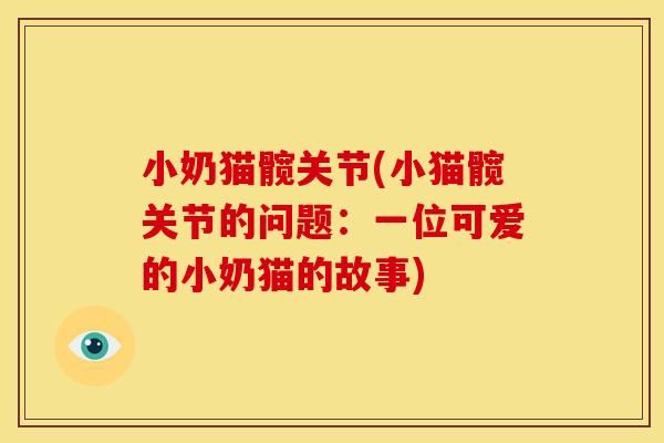 小奶猫髋关节(小猫髋关节的问题：一位可爱的小奶猫的故事)