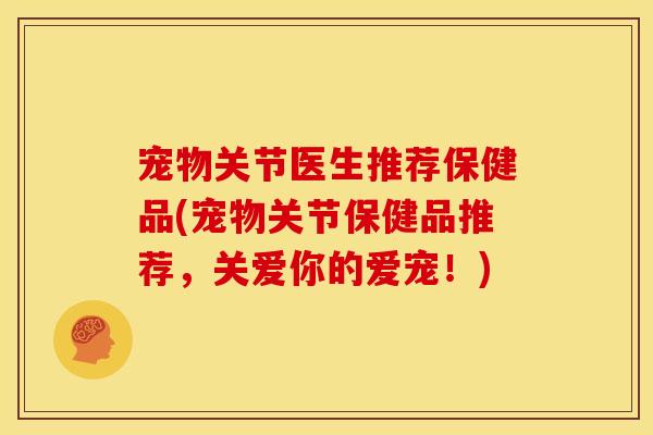 宠物关节医生推荐保健品(宠物关节保健品推荐，关爱你的爱宠！)