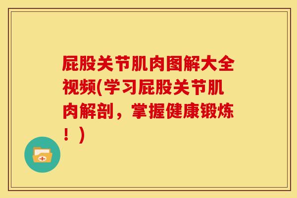 屁股关节肌肉图解大全视频(学习屁股关节肌肉解剖，掌握健康锻炼！)