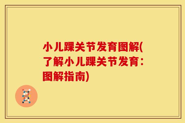小儿踝关节发育图解(了解小儿踝关节发育：图解指南)