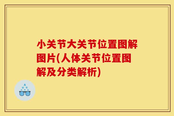 小关节大关节位置图解图片(人体关节位置图解及分类解析)