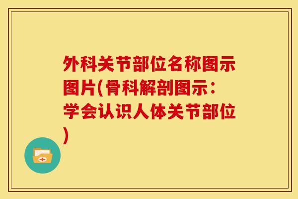 外科关节部位名称图示图片(骨科解剖图示：学会认识人体关节部位)