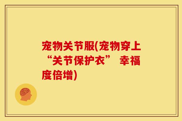 宠物关节服(宠物穿上“关节保护衣” 幸福度倍增)