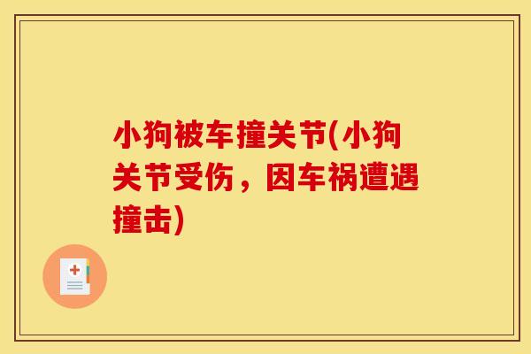 小狗被车撞关节(小狗关节受伤，因车祸遭遇撞击)