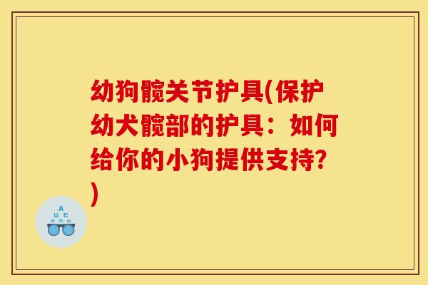 幼狗髋关节护具(保护幼犬髋部的护具：如何给你的小狗提供支持？)