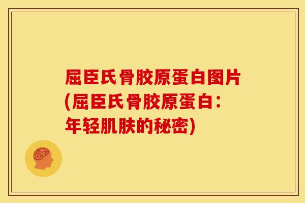 屈臣氏骨胶原蛋白图片(屈臣氏骨胶原蛋白：年轻肌肤的秘密)-第1张图片-关节骑士