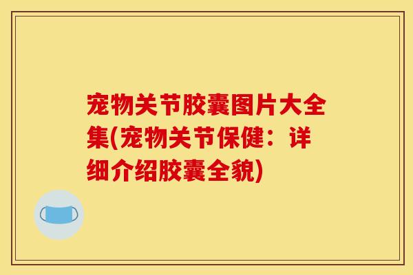 宠物关节胶囊图片大全集(宠物关节保健：详细介绍胶囊全貌)