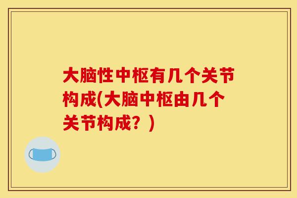 大脑性中枢有几个关节构成(大脑中枢由几个关节构成？)