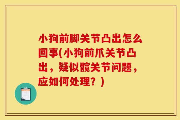 小狗前脚关节凸出怎么回事(小狗前爪关节凸出，疑似髋关节问题，应如何处理？)