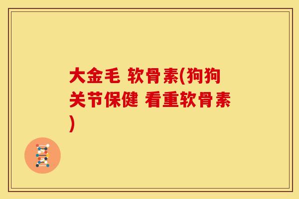 大金毛 软骨素(狗狗关节保健 看重软骨素)