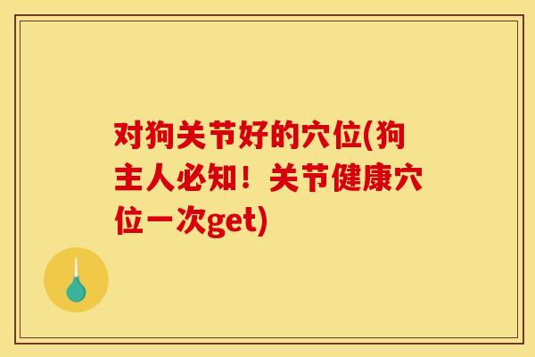 对狗关节好的穴位(狗主人必知！关节健康穴位一次get)