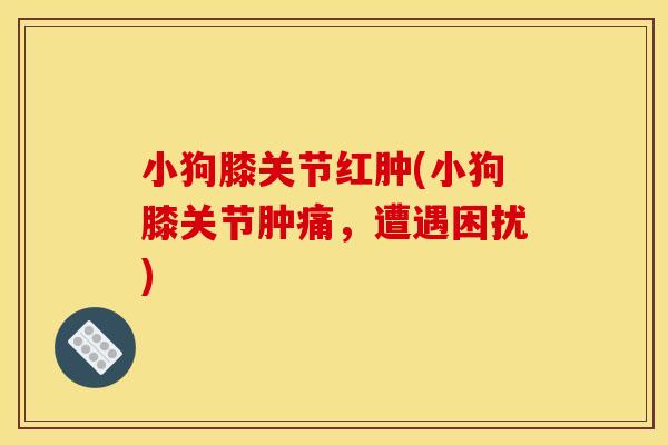 小狗膝关节红肿(小狗膝关节肿痛，遭遇困扰)