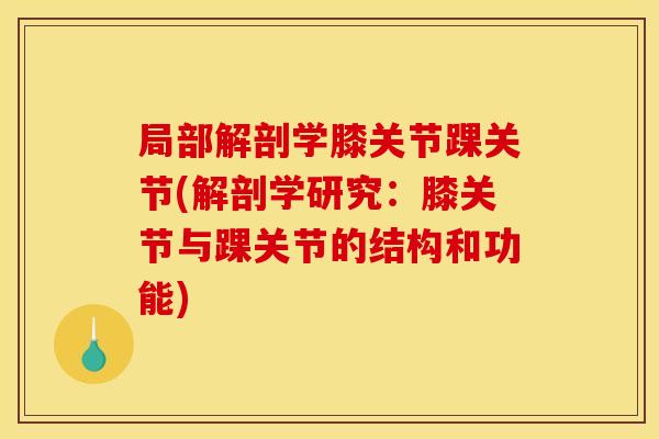 局部解剖学膝关节踝关节(解剖学研究：膝关节与踝关节的结构和功能)