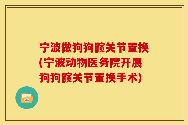 宁波做狗狗髋关节置换(宁波动物医务院开展狗狗髋关节置换手术)