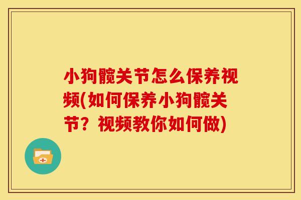 小狗髋关节怎么保养视频(如何保养小狗髋关节？视频教你如何做)