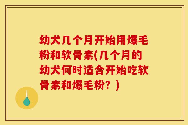 幼犬几个月开始用爆毛粉和软骨素(几个月的幼犬何时适合开始吃软骨素和爆毛粉？)