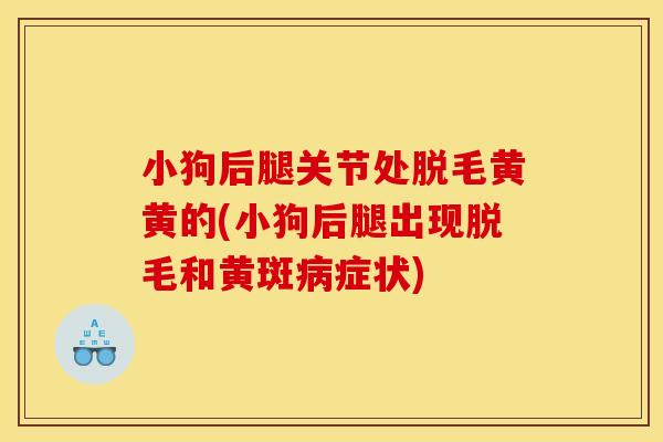 小狗后腿关节处脱毛黄黄的(小狗后腿出现脱毛和黄斑病症状)