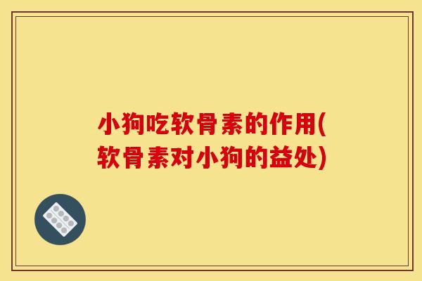 小狗吃软骨素的作用(软骨素对小狗的益处)