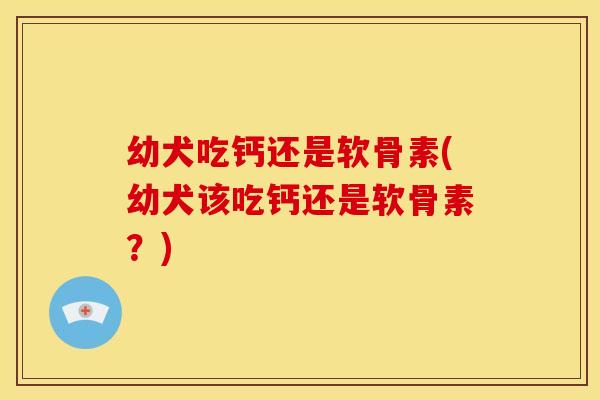 幼犬吃钙还是软骨素(幼犬该吃钙还是软骨素？)