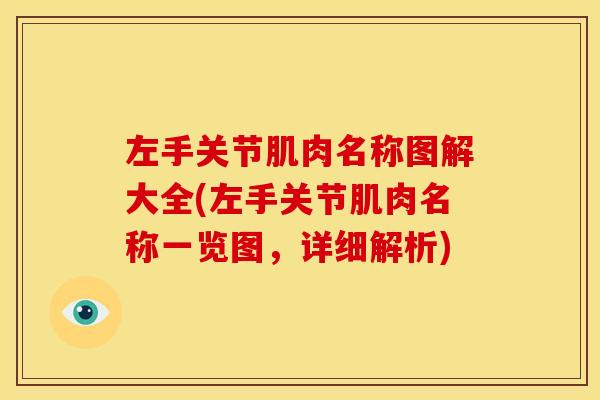 左手关节肌肉名称图解大全(左手关节肌肉名称一览图，详细解析)