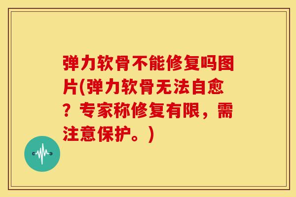 弹力软骨不能修复吗图片(弹力软骨无法自愈？专家称修复有限，需注意保护。)
