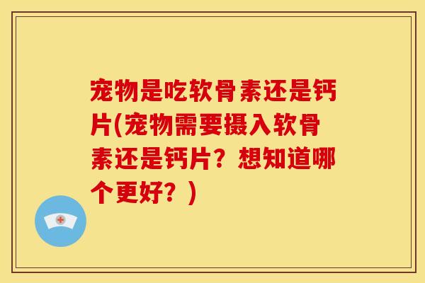 宠物是吃软骨素还是钙片(宠物需要摄入软骨素还是钙片？想知道哪个更好？)