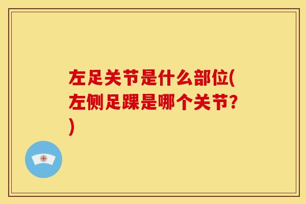 左足关节是什么部位(左侧足踝是哪个关节？)