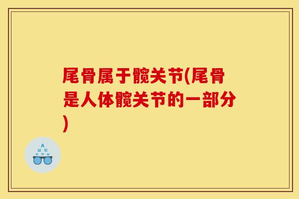 尾骨属于髋关节(尾骨是人体髋关节的一部分)