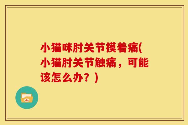 小猫咪肘关节摸着痛(小猫肘关节触痛，可能该怎么办？)
