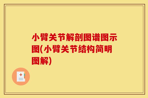 小臂关节解剖图谱图示图(小臂关节结构简明图解)