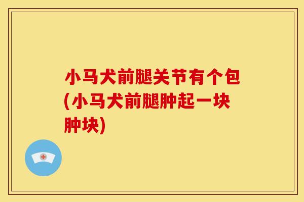 小马犬前腿关节有个包(小马犬前腿肿起一块肿块)