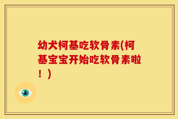 幼犬柯基吃软骨素(柯基宝宝开始吃软骨素啦！)