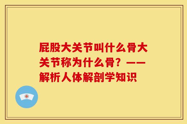 屁股大关节叫什么骨大关节称为什么骨？——解析人体解剖学知识