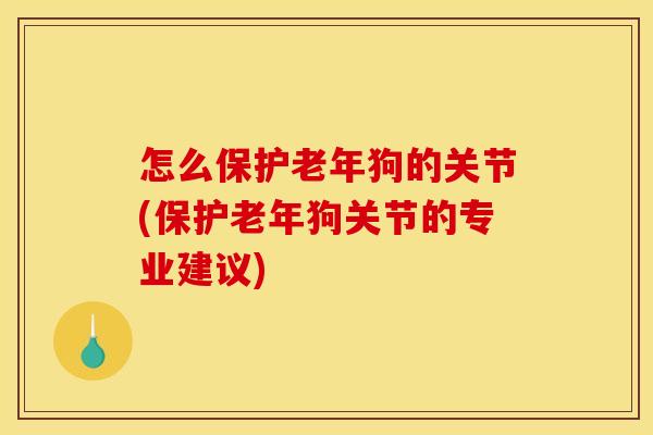 怎么保护老年狗的关节(保护老年狗关节的专业建议)