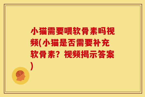 小猫需要喂软骨素吗视频(小猫是否需要补充软骨素？视频揭示答案)