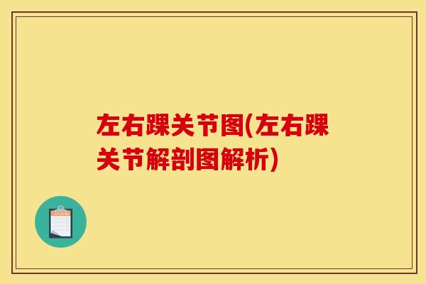 左右踝关节图(左右踝关节解剖图解析)
