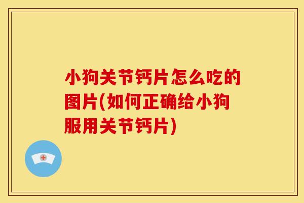 小狗关节钙片怎么吃的图片(如何正确给小狗服用关节钙片)
