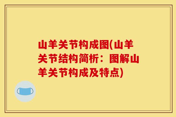 山羊关节构成图(山羊关节结构简析：图解山羊关节构成及特点)