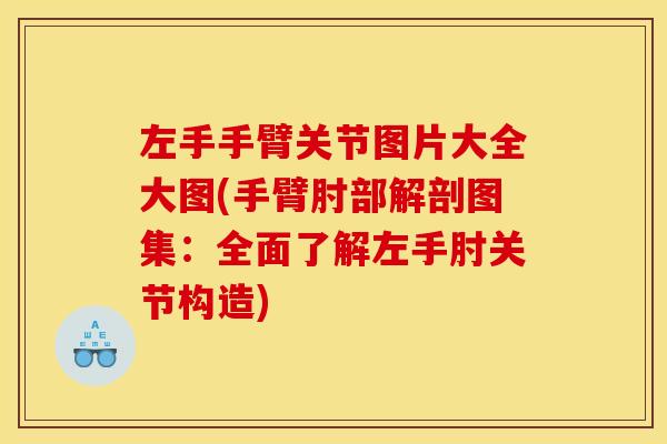 左手手臂关节图片大全大图(手臂肘部解剖图集：全面了解左手肘关节构造)