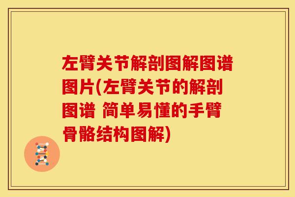 左臂关节解剖图解图谱图片(左臂关节的解剖图谱 简单易懂的手臂骨骼结构图解)